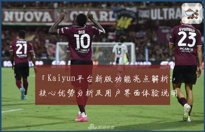 「Kaiyun平台新版功能亮点解析：核心优势分析及用户界面体验说明」